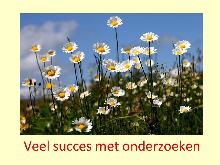 Veel succes met onderzoeken Veel succes met onderzoeken