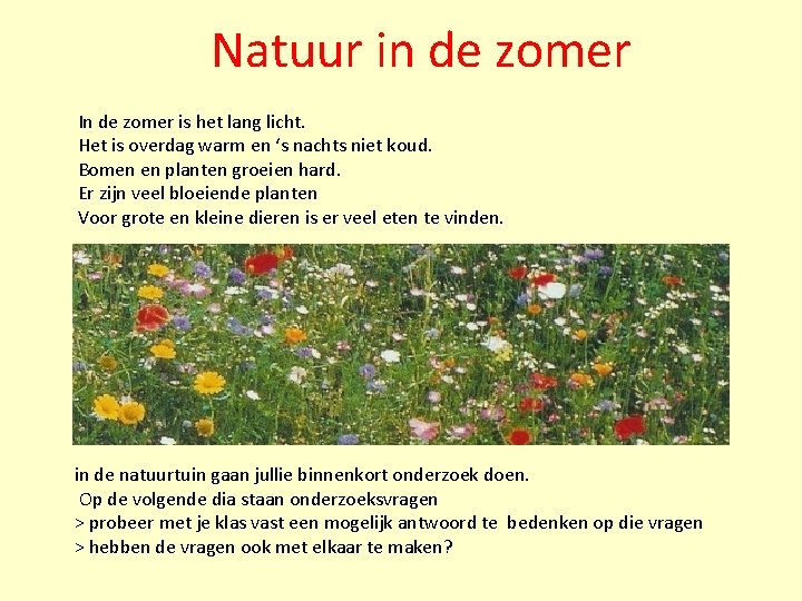 Natuur in de zomer In de zomer is het lang licht. Het is overdag Natuur in de zomer In de zomer is het lang licht. Het is overdag
