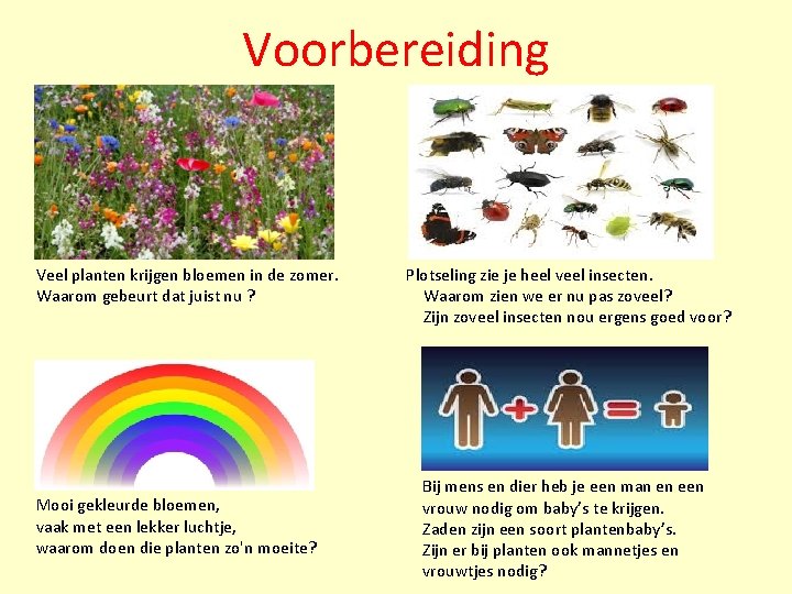 Voorbereiding Veel planten krijgen bloemen in de zomer. Waarom gebeurt dat juist nu ? Voorbereiding Veel planten krijgen bloemen in de zomer. Waarom gebeurt dat juist nu ?