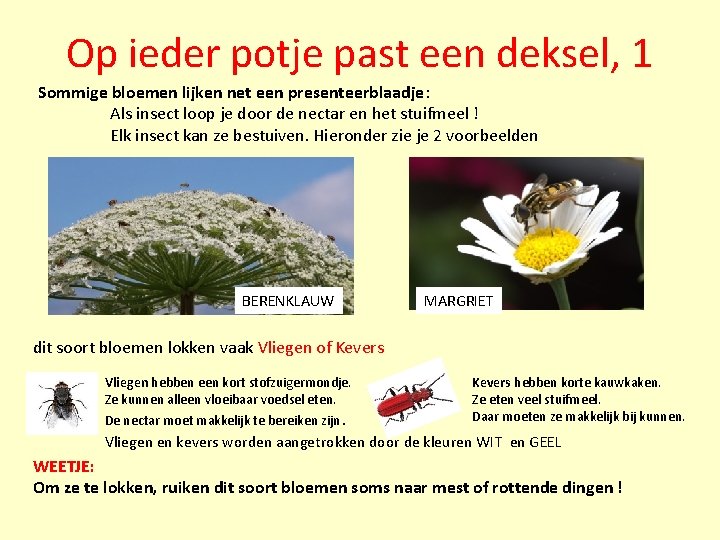 Op ieder potje past een deksel, 1 Sommige bloemen lijken net een presenteerblaadje: Als Op ieder potje past een deksel, 1 Sommige bloemen lijken net een presenteerblaadje: Als
