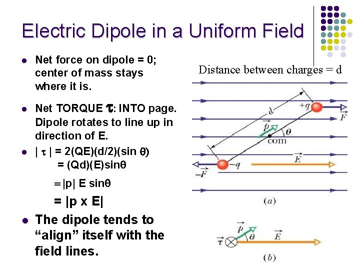 Electric Dipole in a Uniform Field l l l Net force on dipole =
