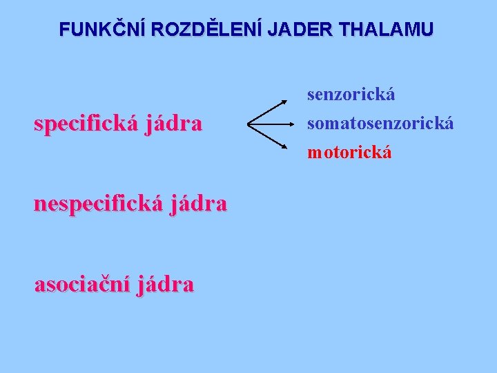 FUNKČNÍ ROZDĚLENÍ JADER THALAMU senzorická specifická jádra nespecifická jádra asociační jádra somatosenzorická motorická 