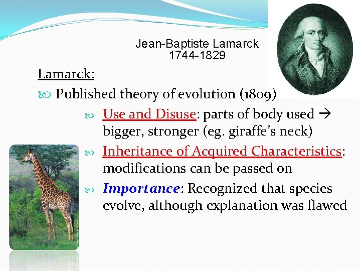 Jean-Baptiste Lamarck 1744 -1829 Lamarck: Published theory of evolution (1809) Use and Disuse: parts
