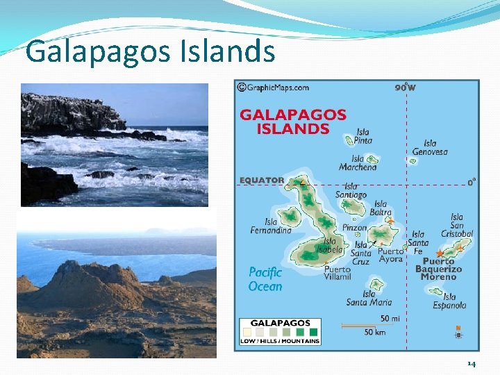 Galapagos Islands 14 