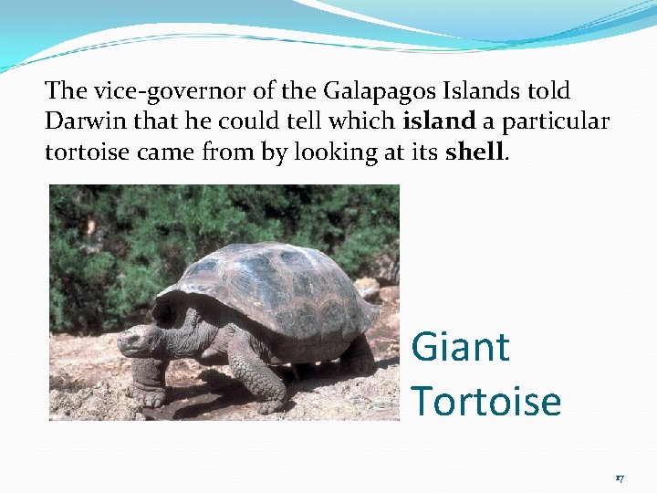 The vice-governor of the Galapagos Islands told Darwin that he could tell which island