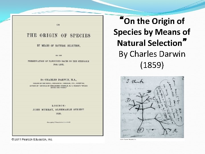 “On the Origin of Species by Means of Natural Selection” By Charles Darwin (1859)