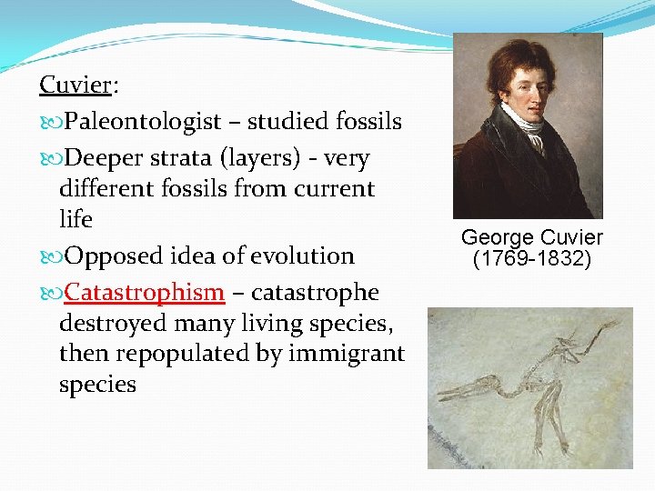Cuvier: Paleontologist – studied fossils Deeper strata (layers) - very different fossils from current