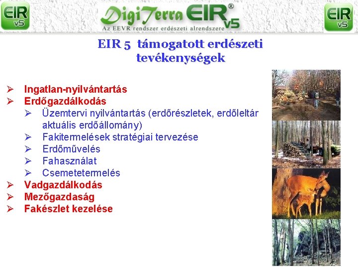 EIR 5 támogatott erdészeti tevékenységek Ø Ingatlan-nyilvántartás Ø Erdőgazdálkodás Ø Üzemtervi nyilvántartás (erdőrészletek, erdőleltár