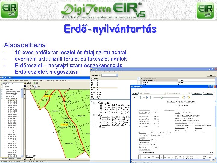 Erdő-nyilvántartás Alapadatbázis: - 10 éves erdőleltár részlet és fafaj szintű adatai évenként aktualizált terület
