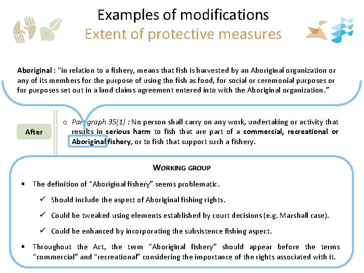 Examples of modifications Extent of protective measures o Sec. 32: No person shall kill