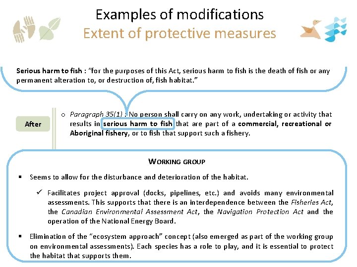 Examples of modifications Extent of protective measures o Sec. 32: No person shall kill