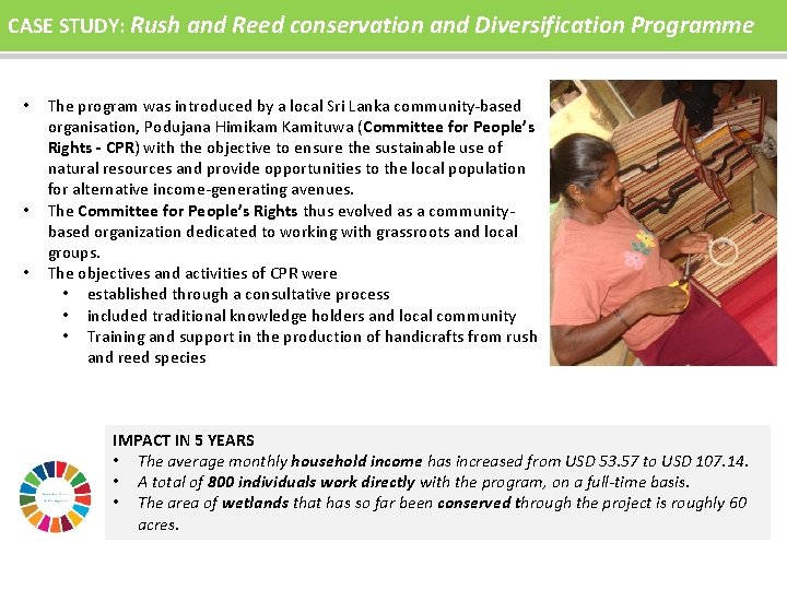 CASE STUDY: Rush and Reed conservation and Diversification Programme • • • The program