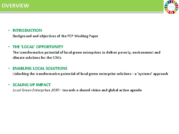 OVERVIEW • INTRODUCTION Background and objectives of the PEP Working Paper • THE ‘LOCAL’