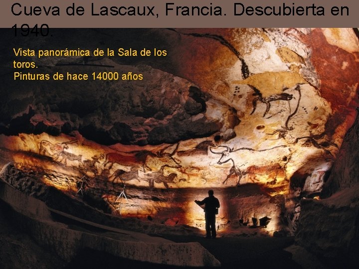 Cueva de Lascaux, Francia. Descubierta en 1940. Vista panorámica de la Sala de los