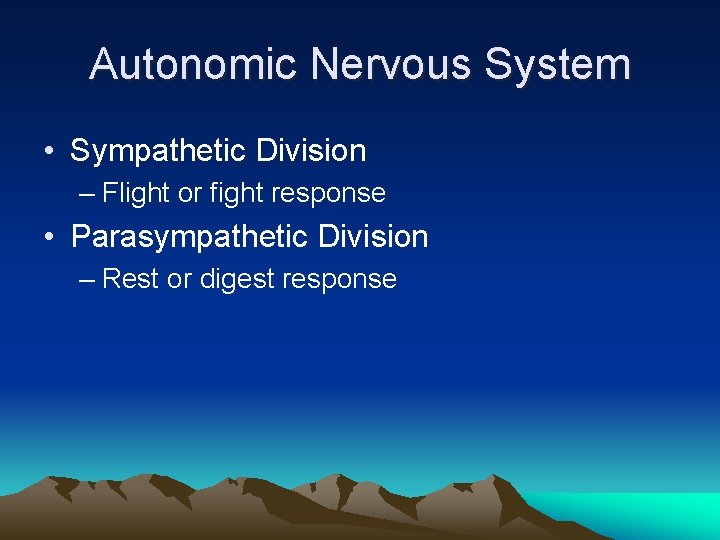 Autonomic Nervous System • Sympathetic Division – Flight or fight response • Parasympathetic Division