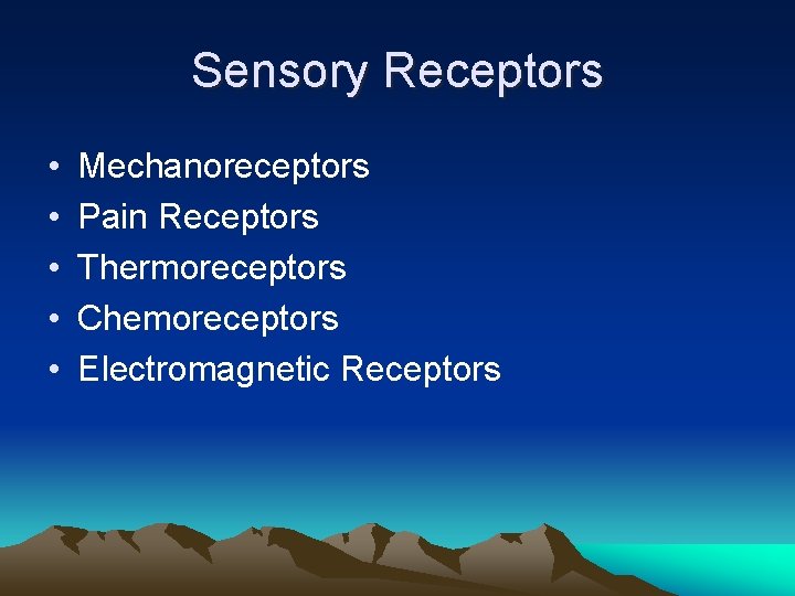 Sensory Receptors • • • Mechanoreceptors Pain Receptors Thermoreceptors Chemoreceptors Electromagnetic Receptors 