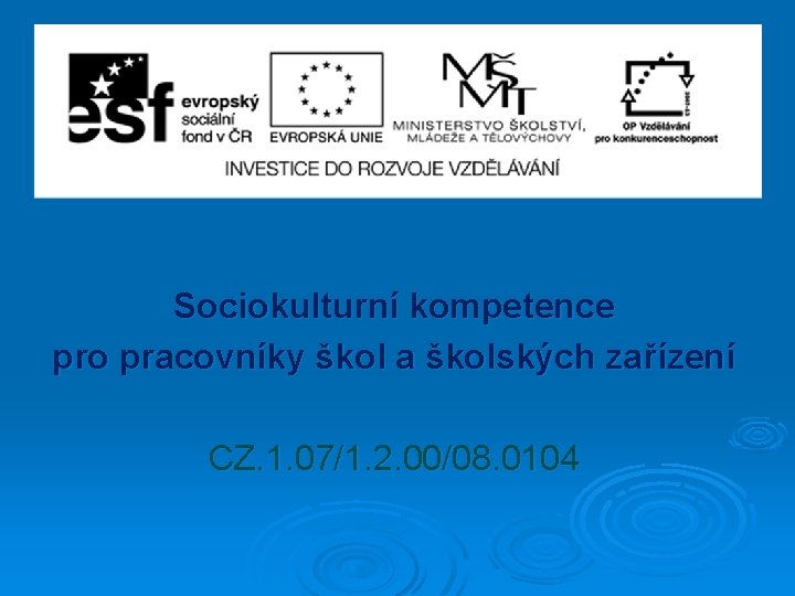 Sociokulturní kompetence pro pracovníky škol a školských zařízení CZ. 1. 07/1. 2. 00/08. 0104