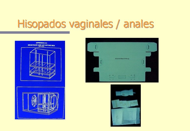 Hisopados vaginales / anales 