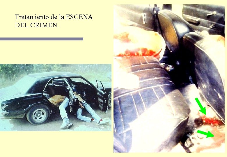 Tratamiento de la ESCENA DEL CRIMEN. 