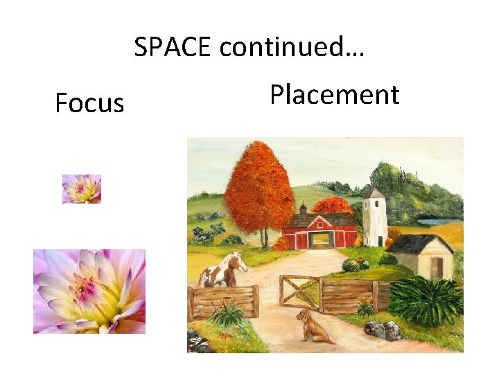 SPACE continued… Focus Placement 