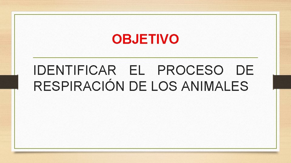OBJETIVO IDENTIFICAR EL PROCESO DE RESPIRACIÓN DE LOS ANIMALES 