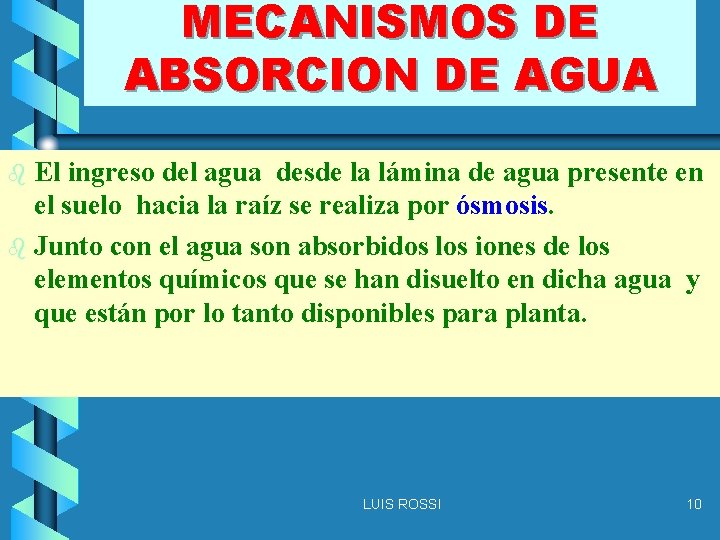 MECANISMOS DE ABSORCION DE AGUA El ingreso del agua desde la lámina de agua