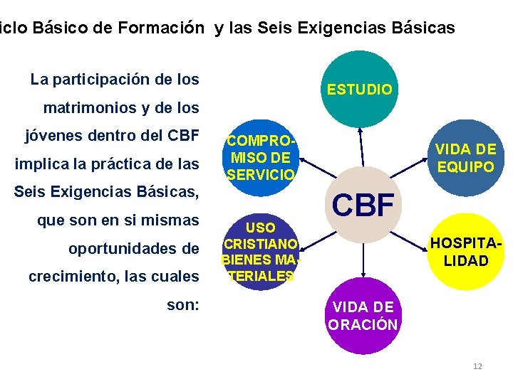iclo Básico de Formación y las Seis Exigencias Básicas La participación de los ESTUDIO iclo Básico de Formación y las Seis Exigencias Básicas La participación de los ESTUDIO