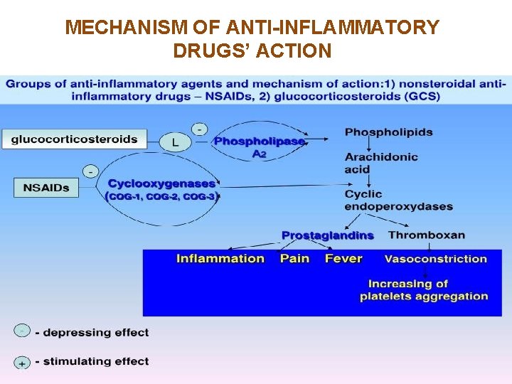 MECHANISM OF ANTI-INFLAMMATORY DRUGS’ ACTION MECHANISM OF ANTI-INFLAMMATORY DRUGS’ ACTION