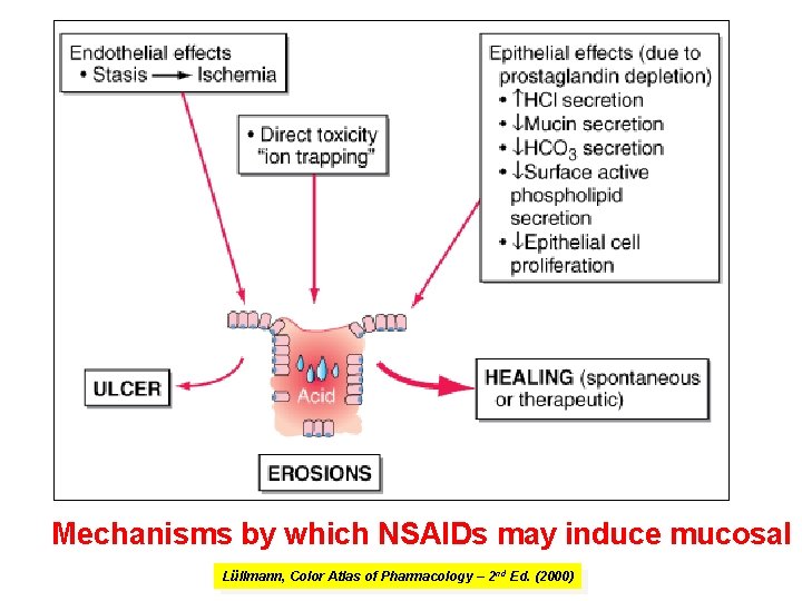 Mechanisms by which NSAIDs may induce mucosal i Lüllmann, Color Atlas of Pharmacology – Mechanisms by which NSAIDs may induce mucosal i Lüllmann, Color Atlas of Pharmacology –