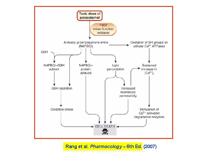 Rang et al. Pharmacology – 6 th Ed. (2007) Rang et al. Pharmacology – 6 th Ed. (2007)
