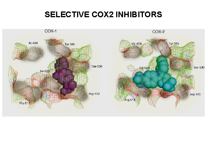 SELECTIVE COX 2 INHIBITORS SELECTIVE COX 2 INHIBITORS