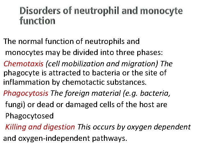 The normal function of neutrophils and monocytes may be divided into three phases: Chemotaxis The normal function of neutrophils and monocytes may be divided into three phases: Chemotaxis