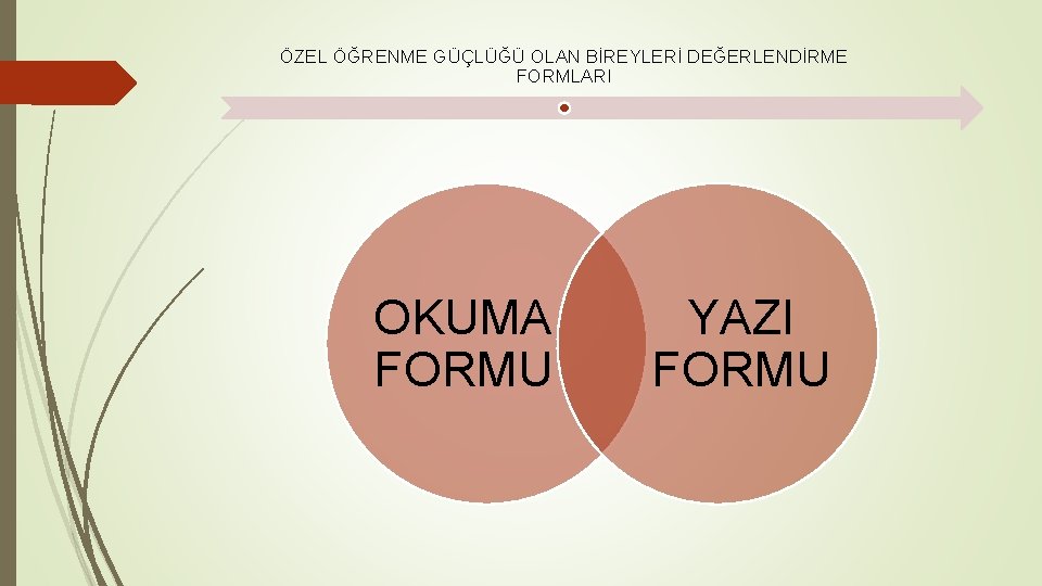 ÖZEL ÖĞRENME GÜÇLÜĞÜ OLAN BİREYLERİ DEĞERLENDİRME FORMLARI OKUMA FORMU YAZI FORMU 