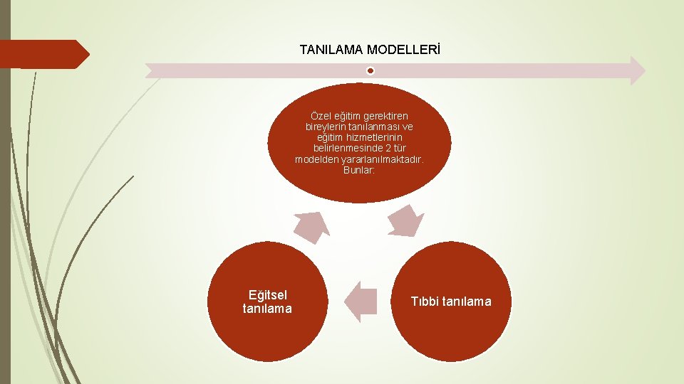 TANILAMA MODELLERİ Özel eğitim gerektiren bireylerin tanılanması ve eğitim hizmetlerinin belirlenmesinde 2 tür modelden