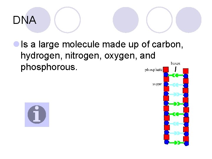 DNA l Is a large molecule made up of carbon, hydrogen, nitrogen, oxygen, and