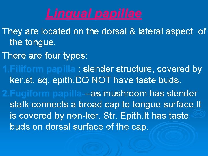 Lingual papillae They are located on the dorsal & lateral aspect of the tongue.