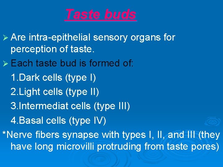 Taste buds Ø Are intra-epithelial sensory organs for perception of taste. Ø Each taste