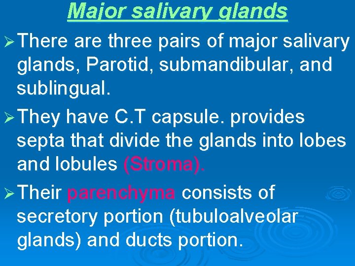 Major salivary glands Ø There are three pairs of major salivary glands, Parotid, submandibular,