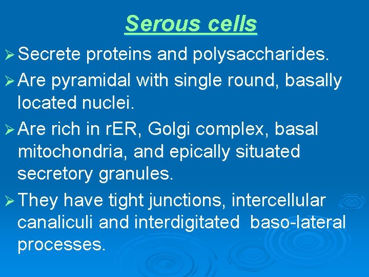 Serous cells Ø Secrete proteins and polysaccharides. Ø Are pyramidal with single round, basally