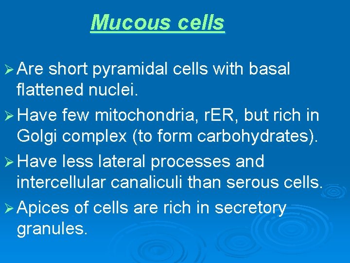 Mucous cells Ø Are short pyramidal cells with basal flattened nuclei. Ø Have few