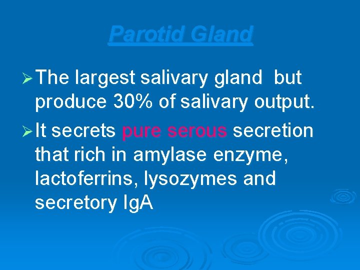 Parotid Gland Ø The largest salivary gland but produce 30% of salivary output. Ø