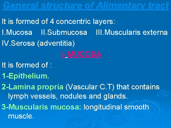 General structure of Alimentary tract It is formed of 4 concentric layers: I. Mucosa