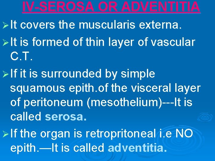 IV-SEROSA OR ADVENTITIA Ø It covers the muscularis externa. Ø It is formed of