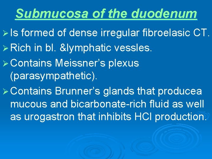 Submucosa of the duodenum Ø Is formed of dense irregular fibroelasic CT. Ø Rich