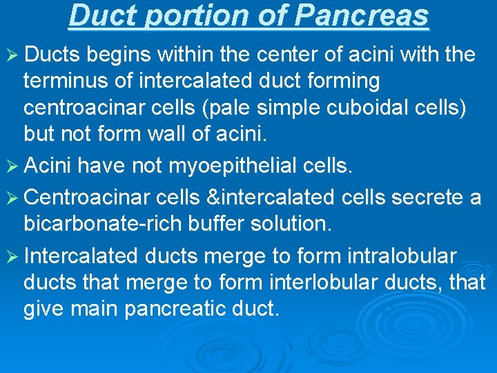Duct portion of Pancreas Ø Ducts begins within the center of acini with the