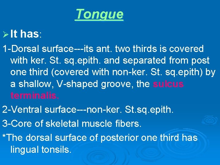 Tongue Ø It has: 1 -Dorsal surface---its ant. two thirds is covered with ker.