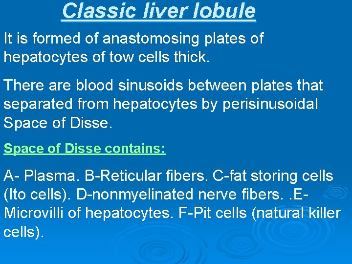 Classic liver lobule It is formed of anastomosing plates of hepatocytes of tow cells