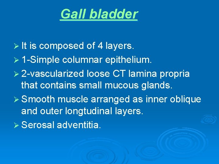 Gall bladder Ø It is composed of 4 layers. Ø 1 -Simple columnar epithelium.