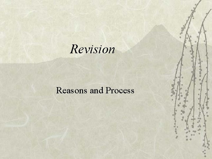 Revision Reasons and Process 