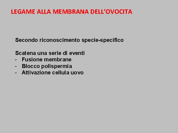 LEGAME ALLA MEMBRANA DELL’OVOCITA Secondo riconoscimento specie-specifico Scatena una serie di eventi - Fusione